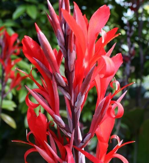 בית מלון כפרי 88 Baron Van Reede Guesthouse