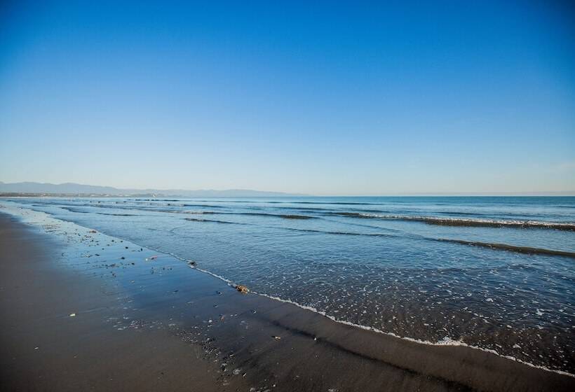 호텔 Appleby House & Rabbit Island Huts