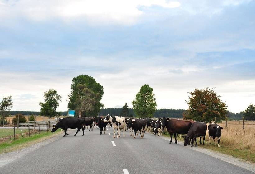 호텔 Appleby House & Rabbit Island Huts