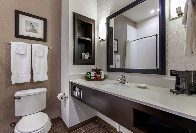 호텔 Best Western Plus Big Lake Inn