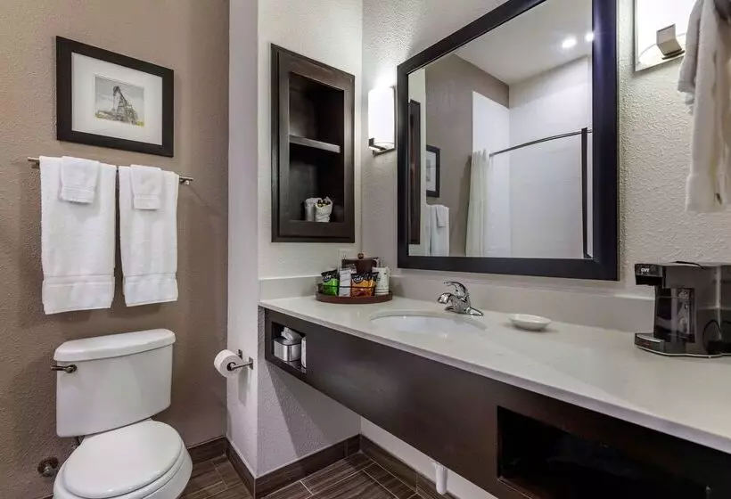 Hotelli Best Western Plus Big Lake Inn