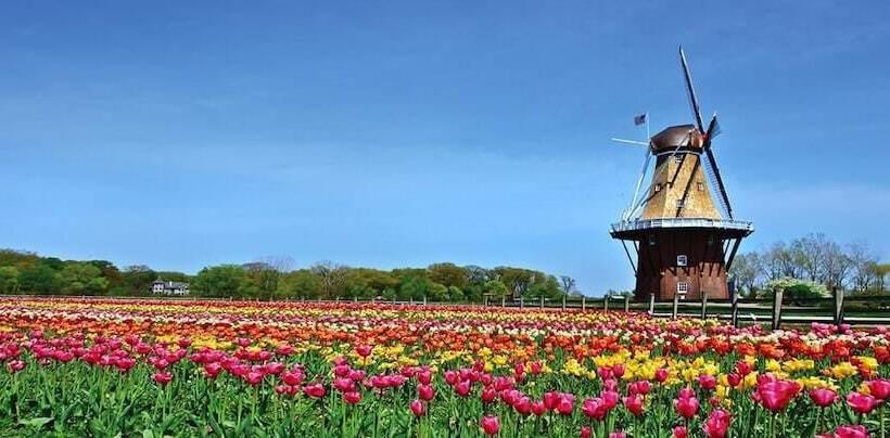 Haworth Hotel At Hope College