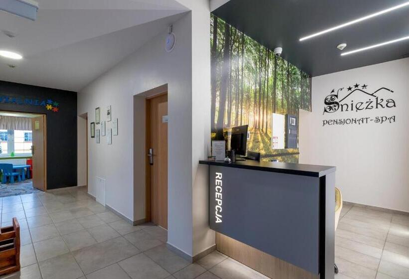 בית מלון כפרי Pensjonat śnieżka Spa