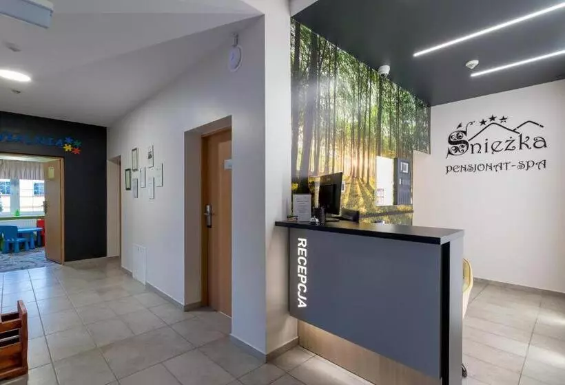 Hotelli Pensjonat śnieżka Spa