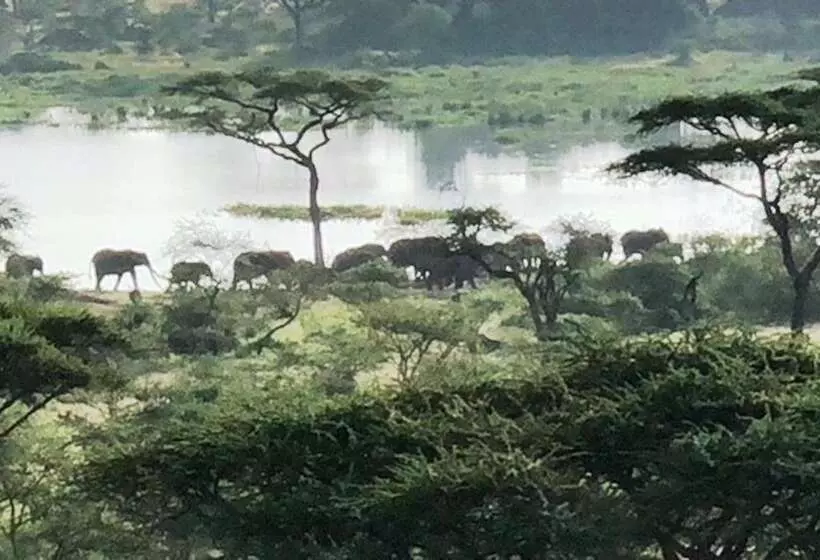 هتل Seronera Wildlife Lodge