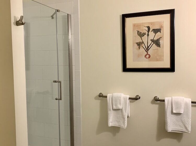 فندق The Barrington