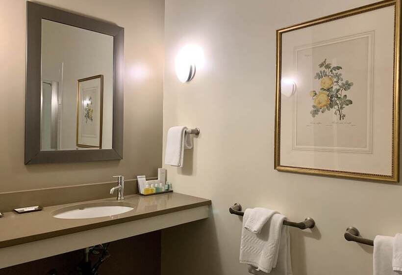 فندق The Barrington