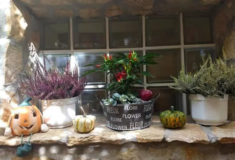 هتل Villa Muzsa Deluxe