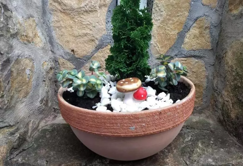 هتل Villa Muzsa Deluxe