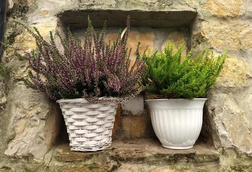 酒店 Villa Muzsa Deluxe