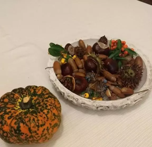 هتل Villa Muzsa Deluxe