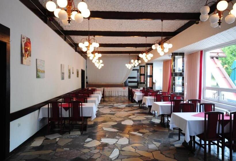 호텔 Zajazd Pod Kasztanami