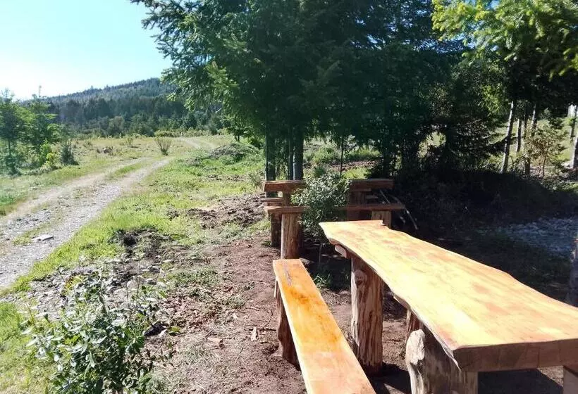 Anacrusa Hostel