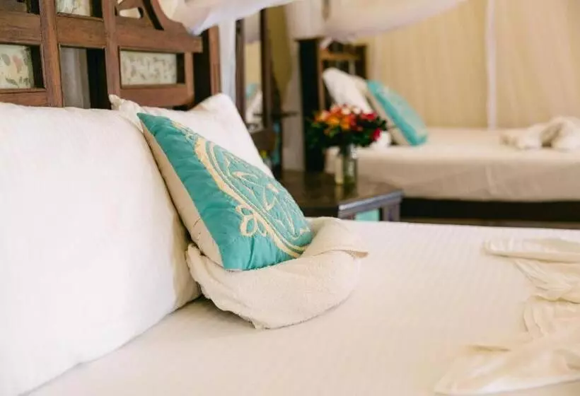 ベッドアンドブレックファースト Caravan Serai Amour