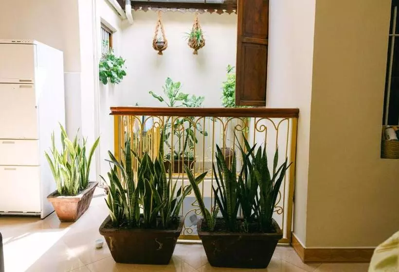 ベッドアンドブレックファースト Caravan Serai Amour