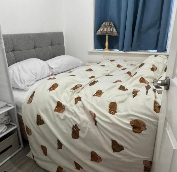 Bed and Breakfast Cozy Room In London