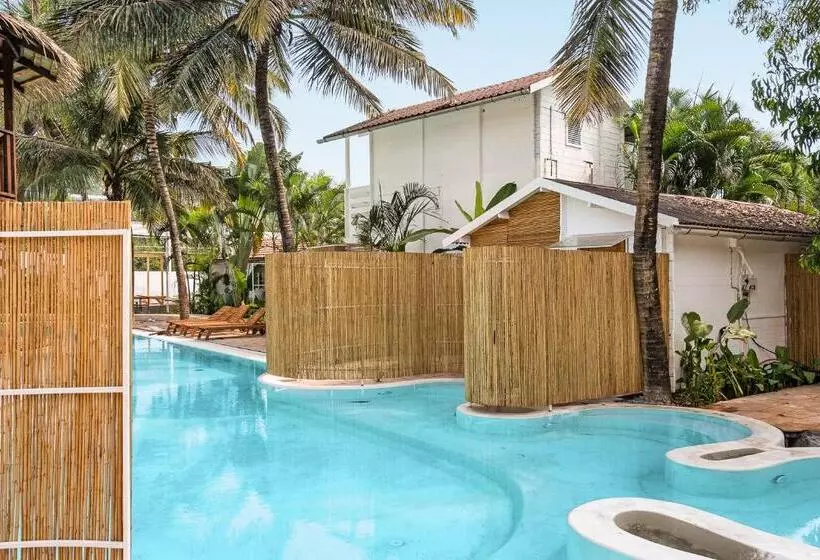 ホテル Azora By Ayatana, Goa