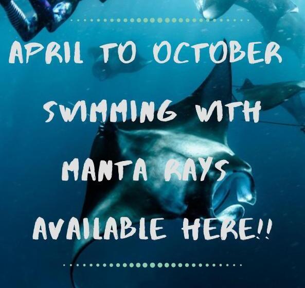 酒店 White Sandy Beach Best Manta Snorkeling