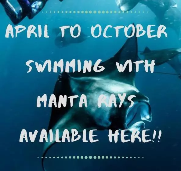 Hotelli White Sandy Beach Best Manta Snorkeling