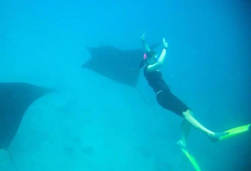 酒店 White Sandy Beach Best Manta Snorkeling