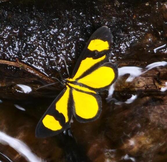 هتل Y Restaurante Rocas Y Paisajes Gt
