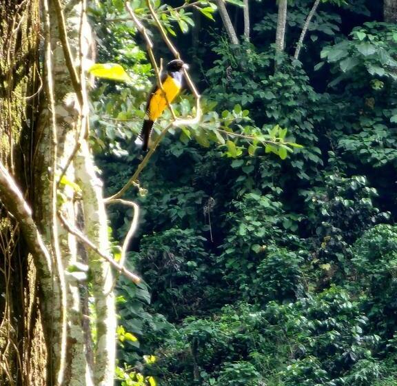 هتل Y Restaurante Rocas Y Paisajes Gt