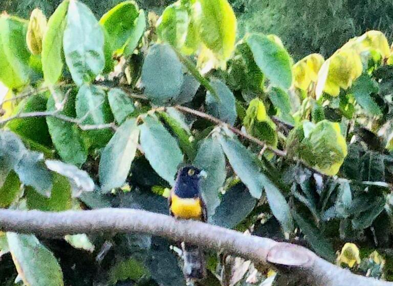 هتل Y Restaurante Rocas Y Paisajes Gt