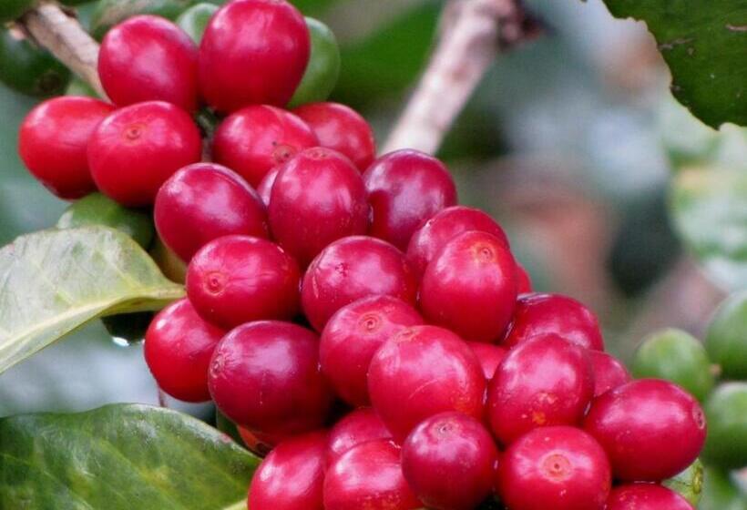 هتل Y Restaurante Rocas Y Paisajes Gt