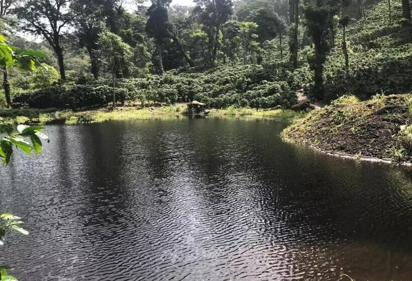 هتل Y Restaurante Rocas Y Paisajes Gt