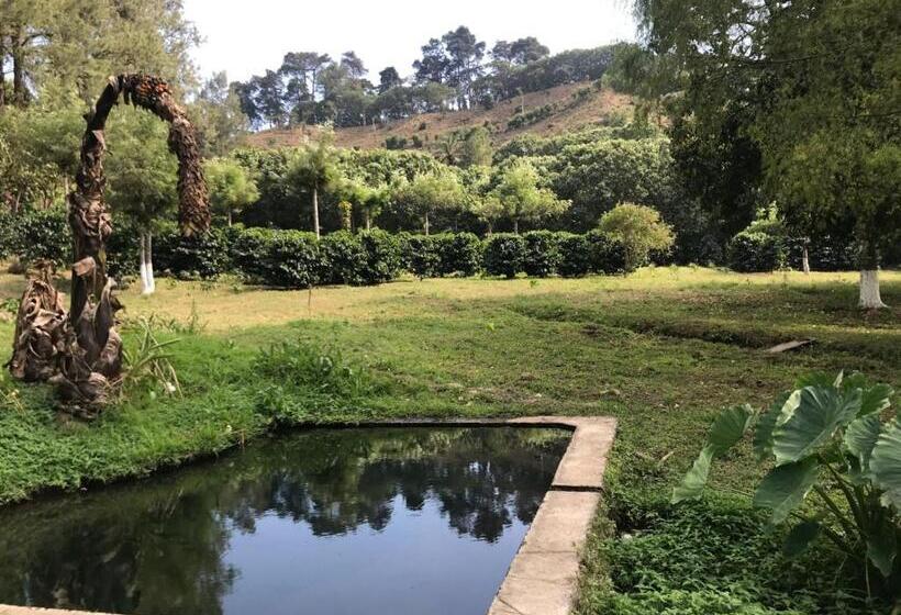 هتل Y Restaurante Rocas Y Paisajes Gt