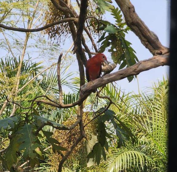 هتل Y Restaurante Rocas Y Paisajes Gt