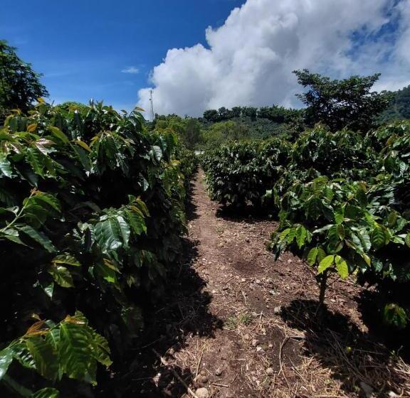 هتل Y Restaurante Rocas Y Paisajes Gt