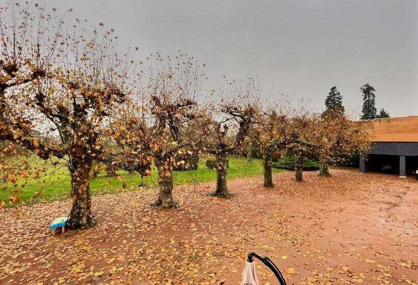 פנסיון Les Platanes De Miss.k Conciergerie