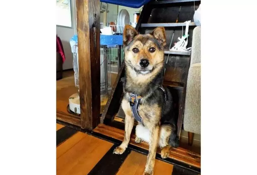 Majatalo Longhillsecoguesthouse&cafe   Vacation Stay 24885v