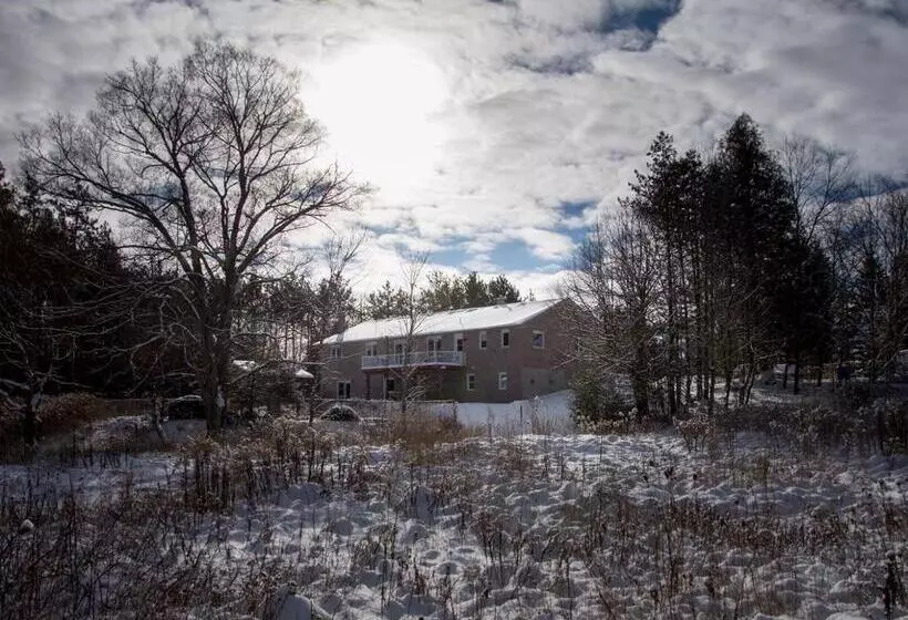 The Nest In The Forest Bed And Breakfast