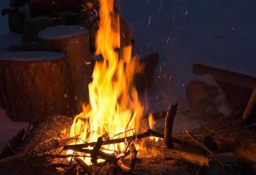 The Nest In The Forest Bed And Breakfast
