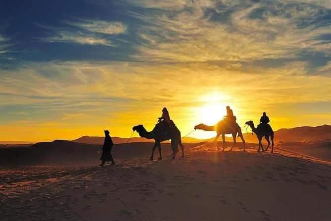 민박 Camel Trekking Camp