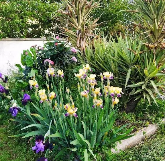 Aamiaismajoitus (B&B) Gite Modes Et Café