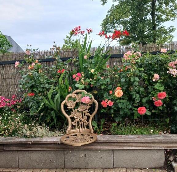 مبيت وإفطار Huize Bloem