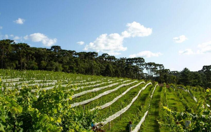 호텔 Boutique Vinícola Araucária By Slaviero Hoteis