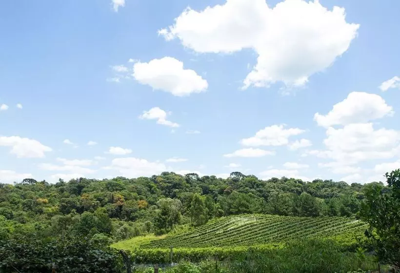 Hotelli Boutique Vinícola Araucária By Slaviero Hoteis