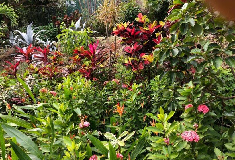 هتل Vacation Suites