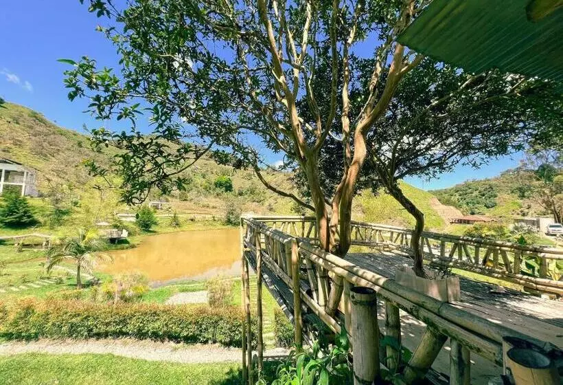 Los Lagos De Jasú
