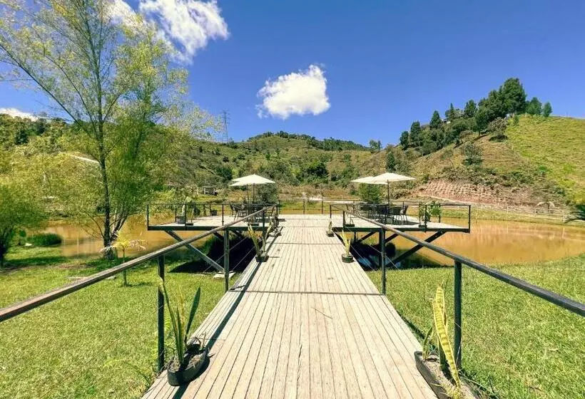 Los Lagos De Jasú