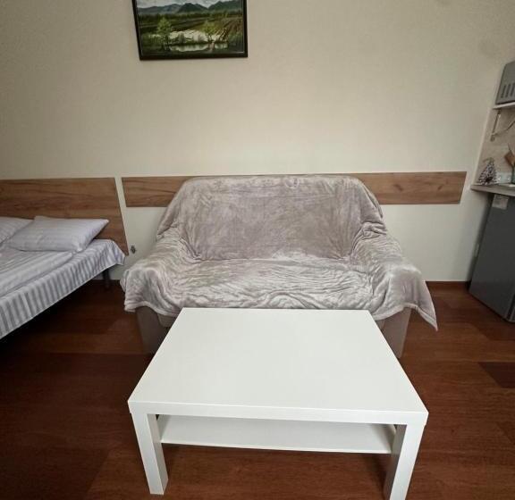 Modern Apartments Uzhgorod