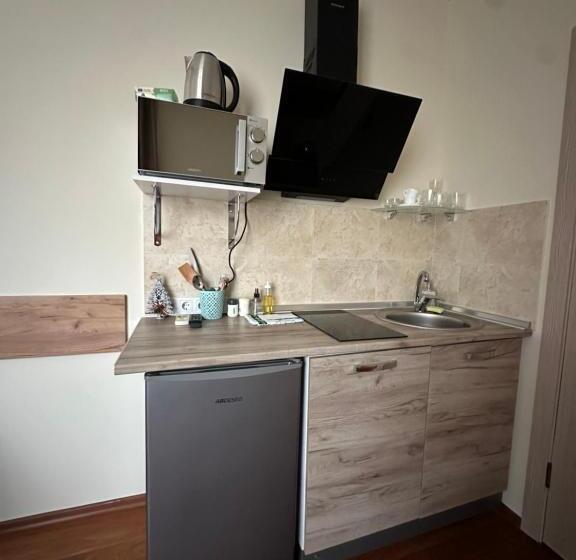 Modern Apartments Uzhgorod