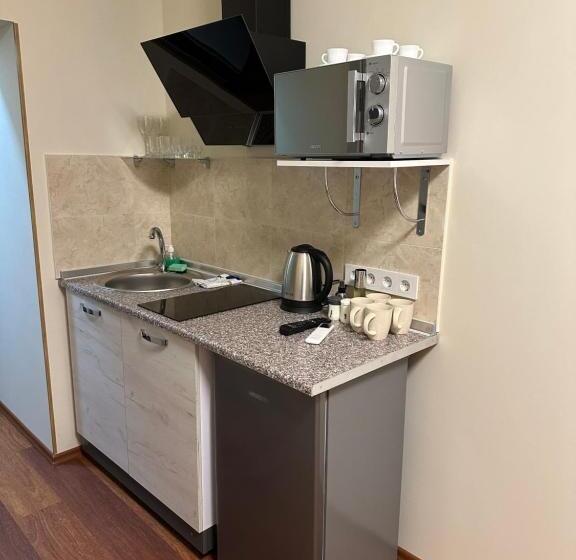 Modern Apartments Uzhgorod