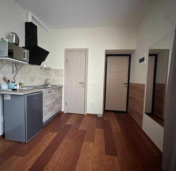 Modern Apartments Uzhgorod