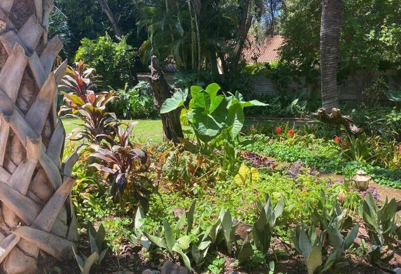 بنسيون Four Seasons Guesthouse   Hardekool 7