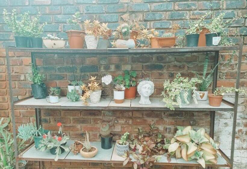 بنسيون Four Seasons Guesthouse   Hardekool 7